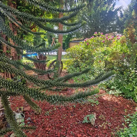 Weidengrund 게스트하우스 발스로드
